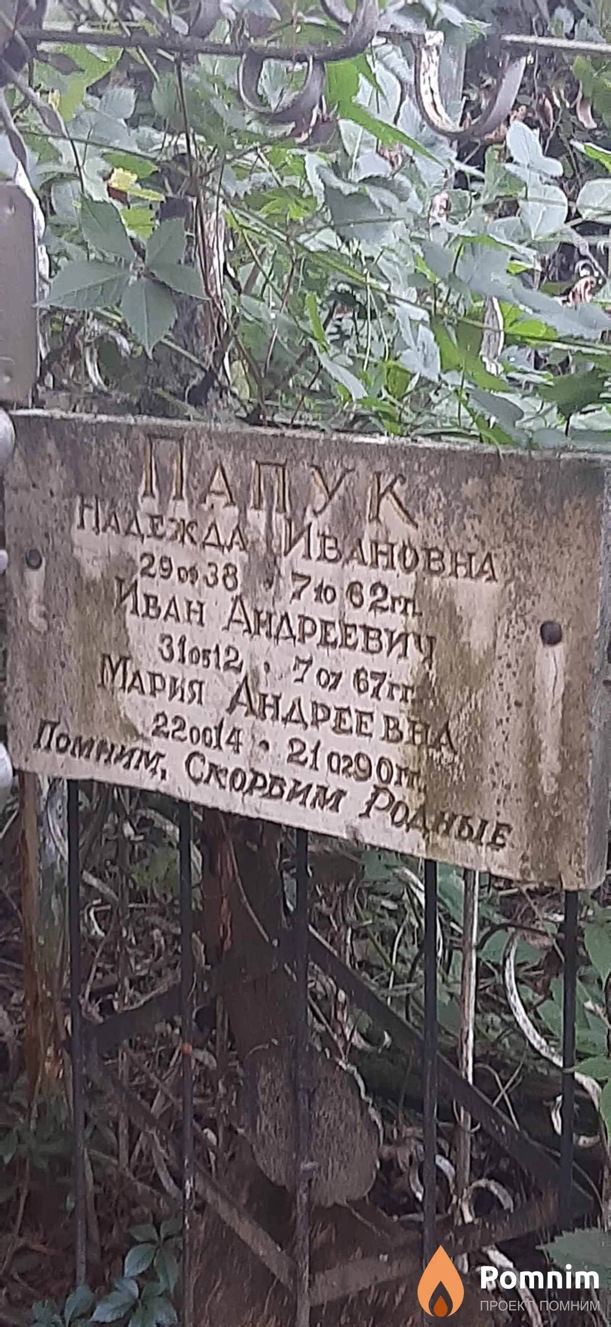 Папук Иван Андреевич