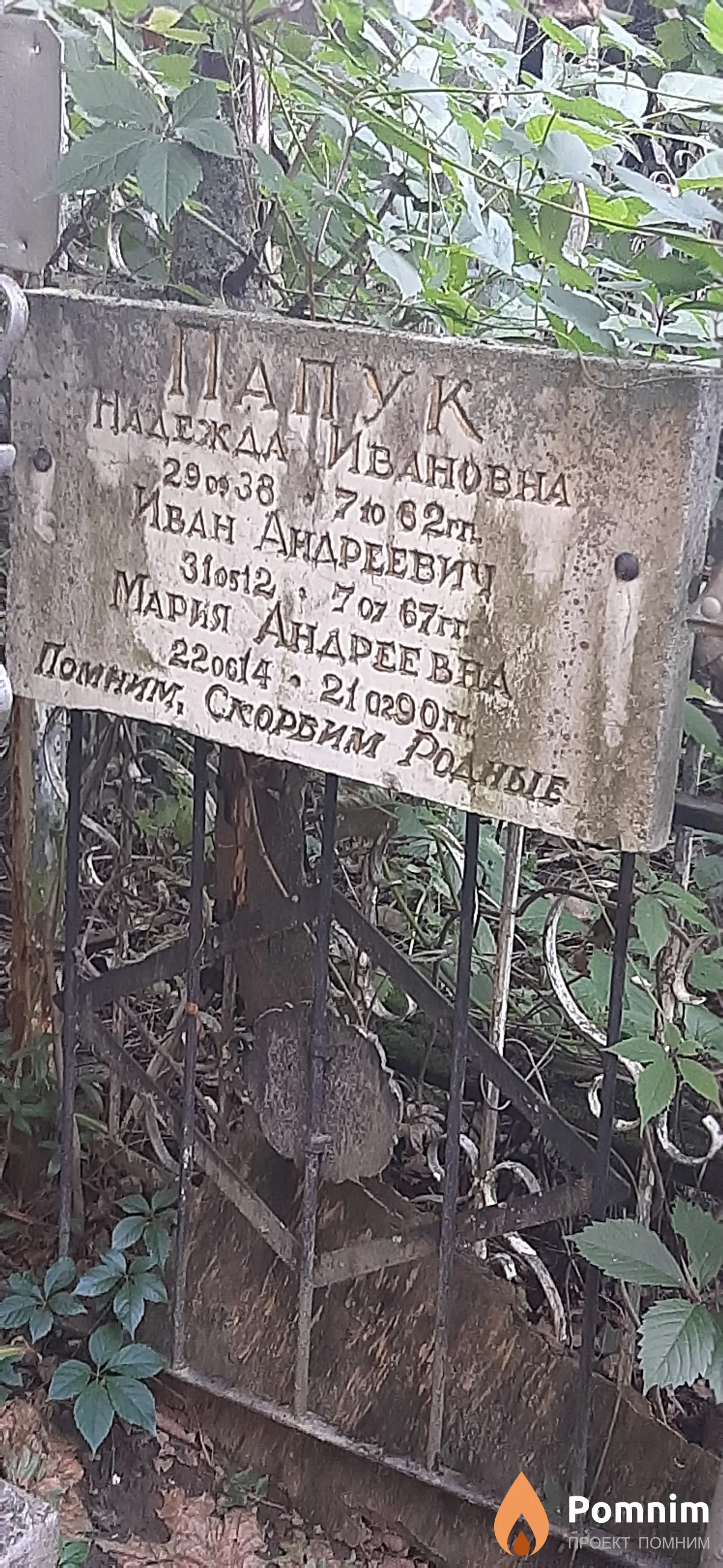Папук Мария Андреевна