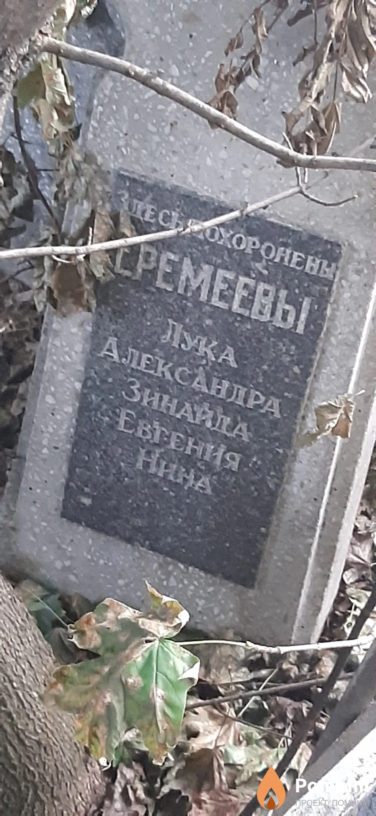 Еремеева Евгения