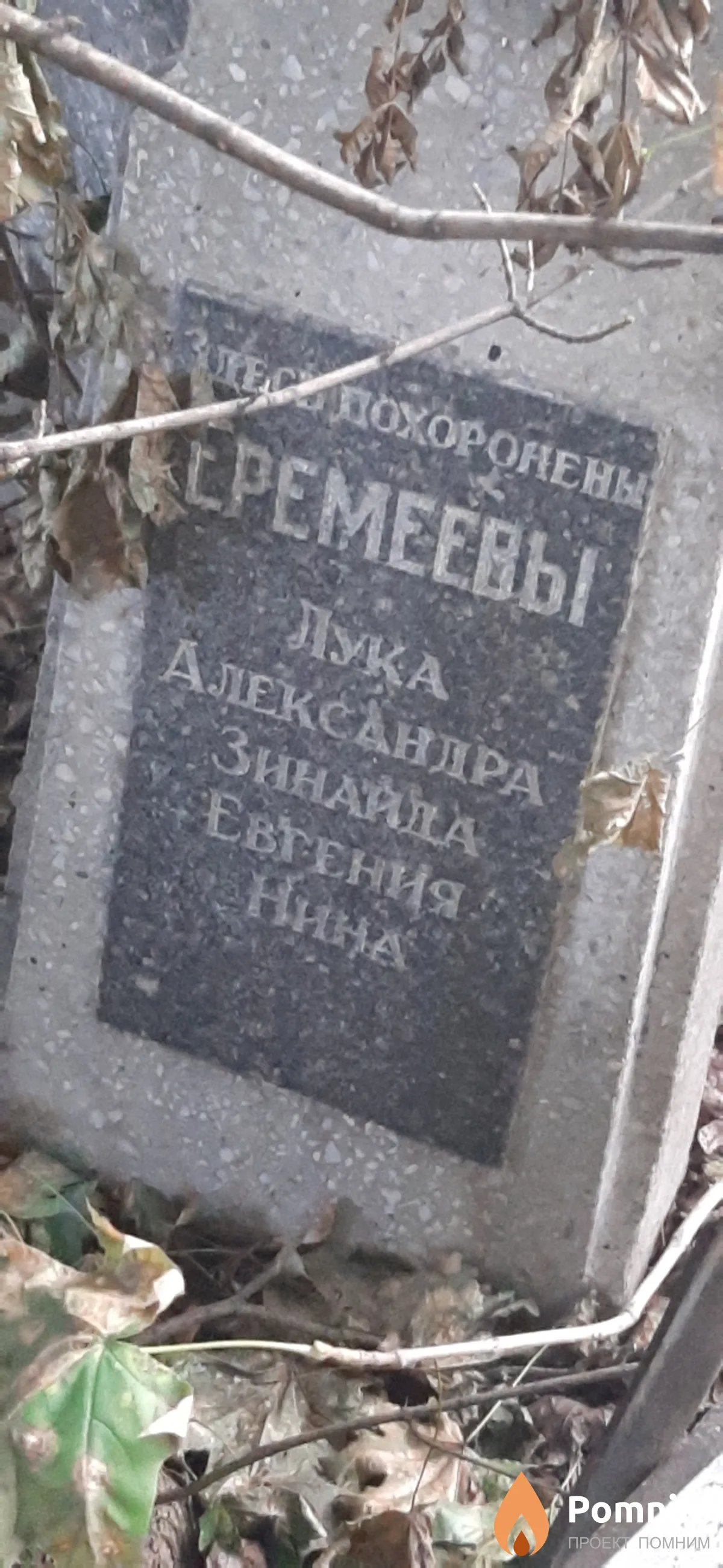 Еремеева Нина