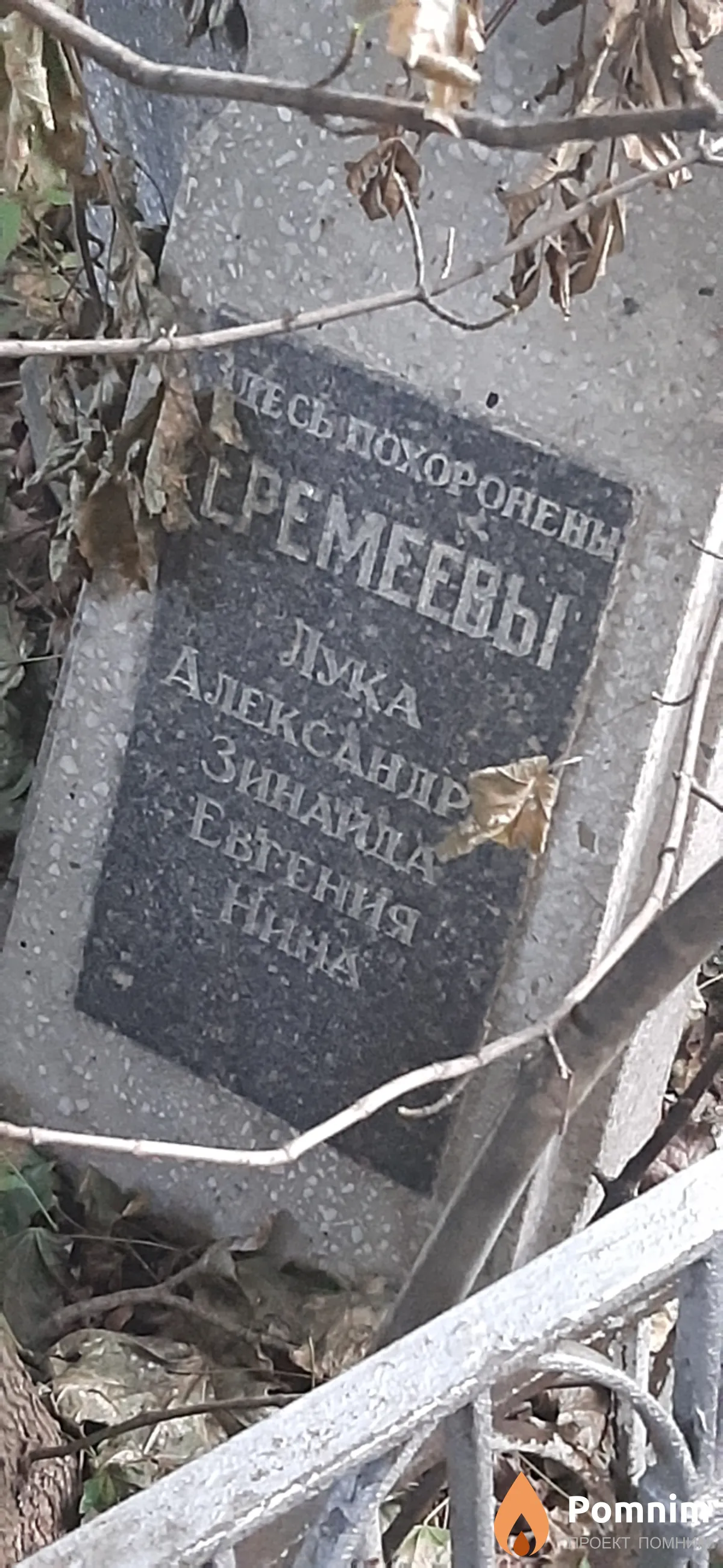 Еремеева Александра