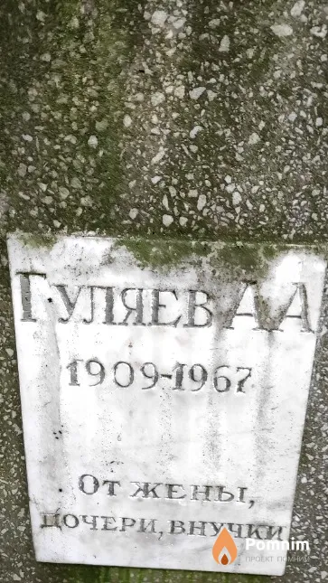 Гуляев А. А.