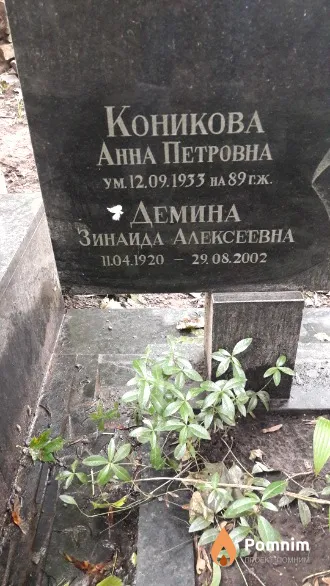 Коникова Анна Петровна