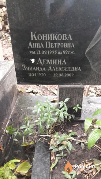 Демина Зинаида Аьексеевна