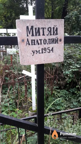Митяй Анатолий .
