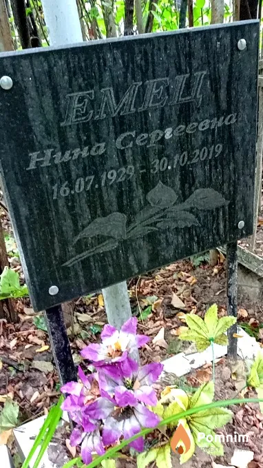 Емец Нина Сергеевна