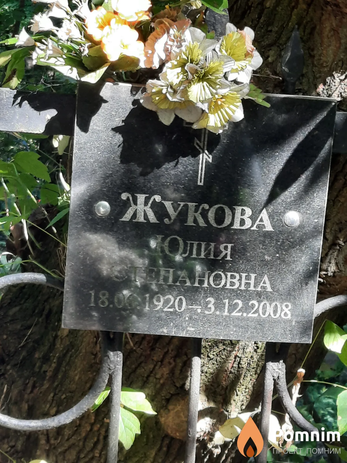 Жукова Юлия Степановна