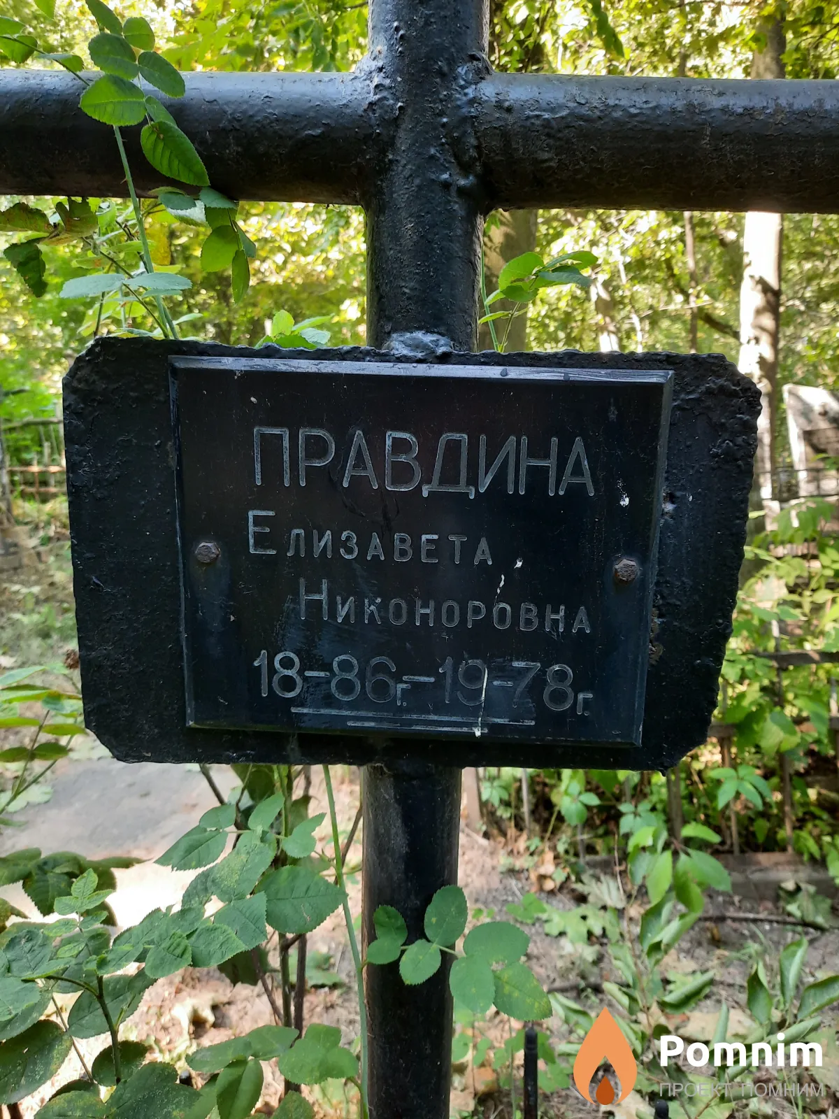 Правдина Елизавета Никоноровна
