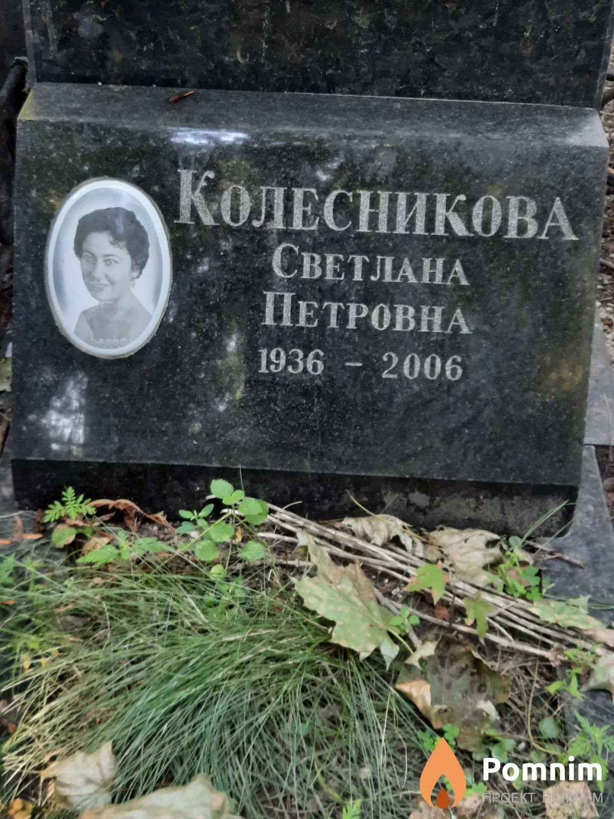 Колесникова Светлана Петровна