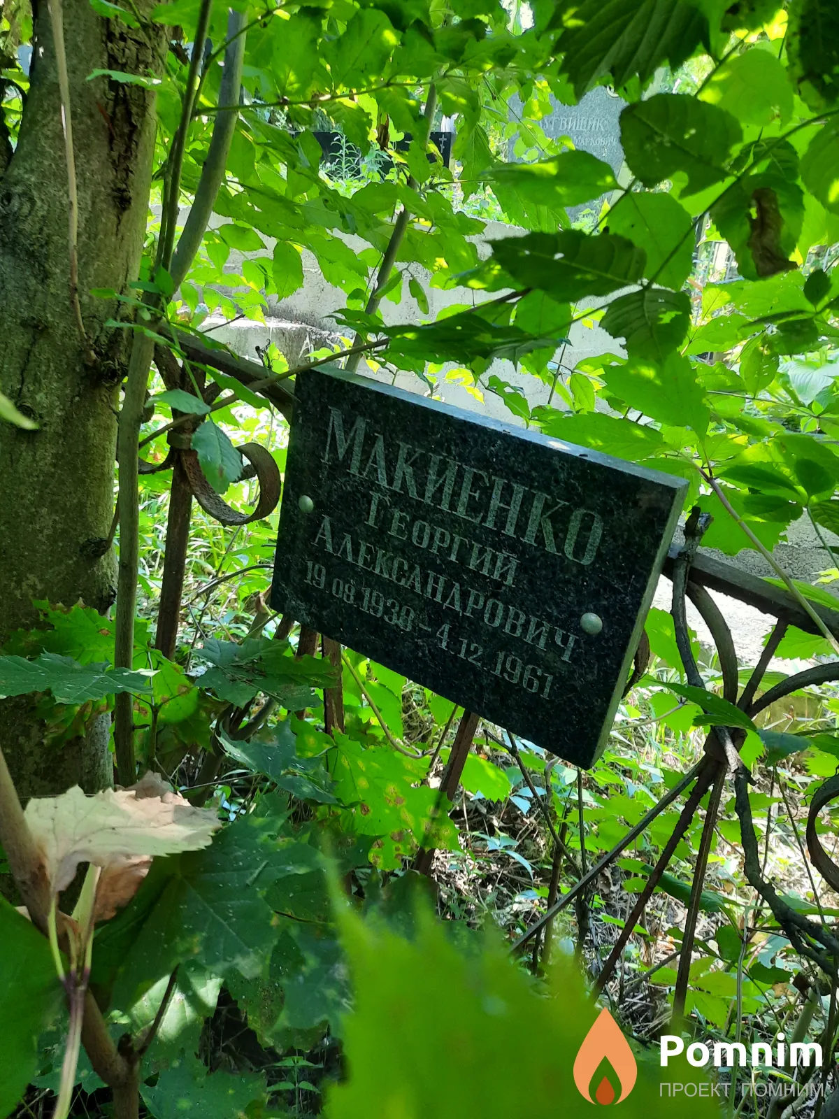 Макиенко Георгий Александрович