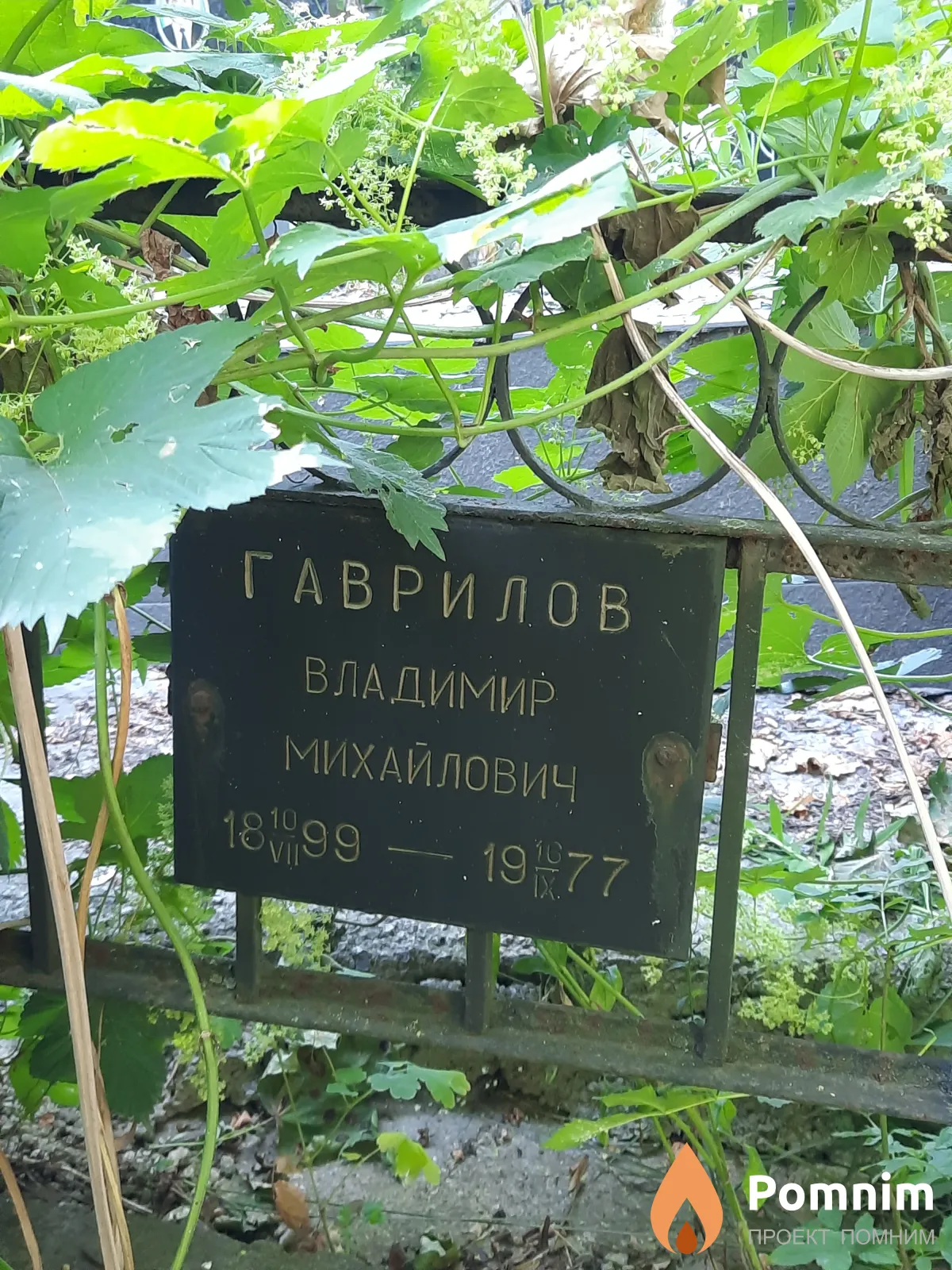 Гаврилов Владимир Михайлович
