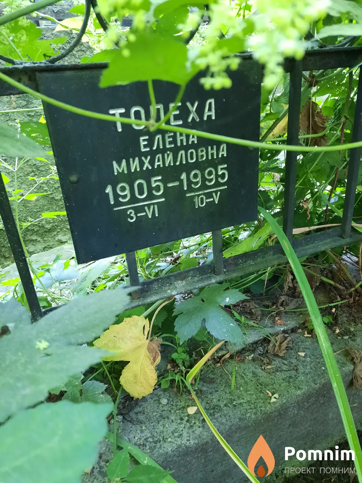Топеха Елена Михайловна