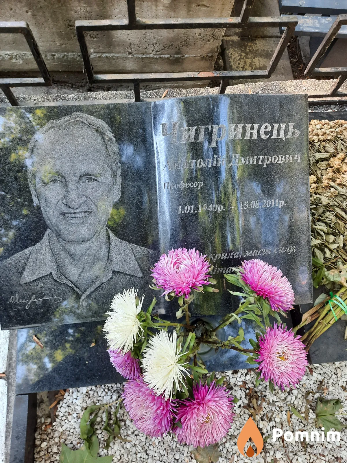 Чигиринець Анатолій Дмитрович