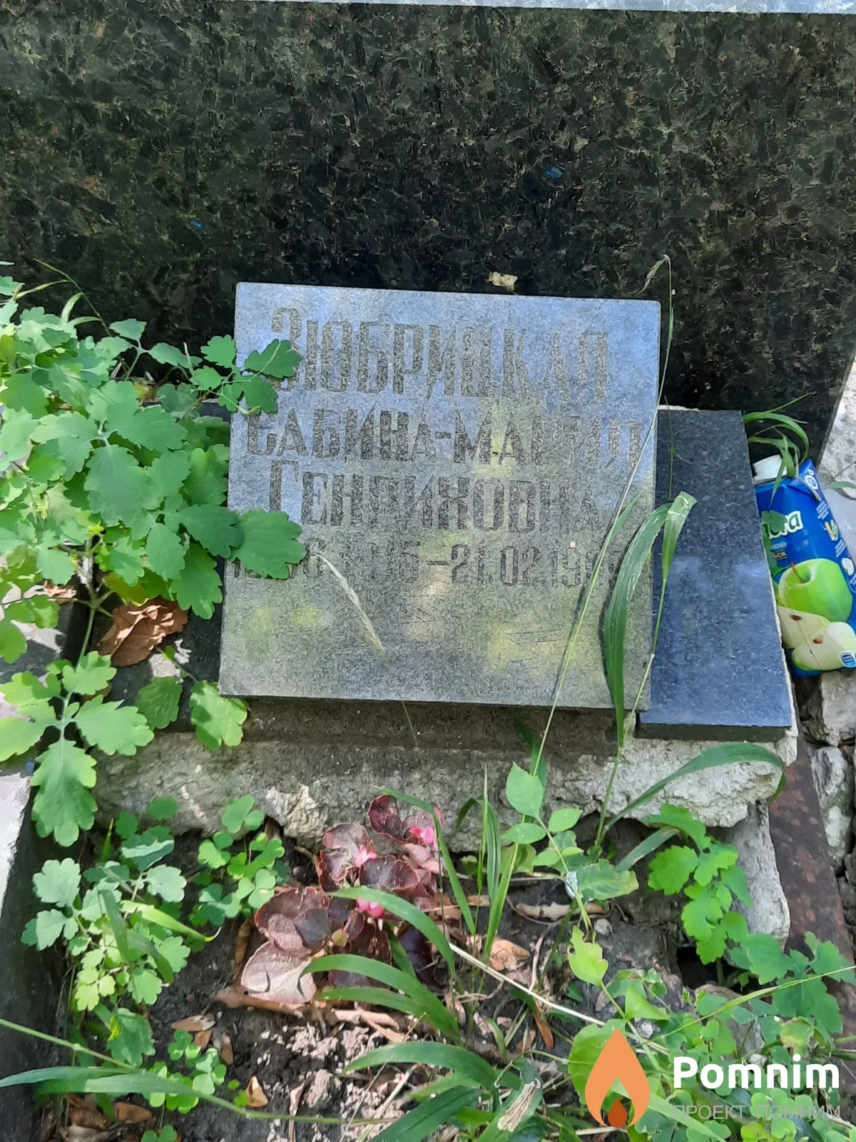 Зюбрицкая Сабина-Мария Генриховна