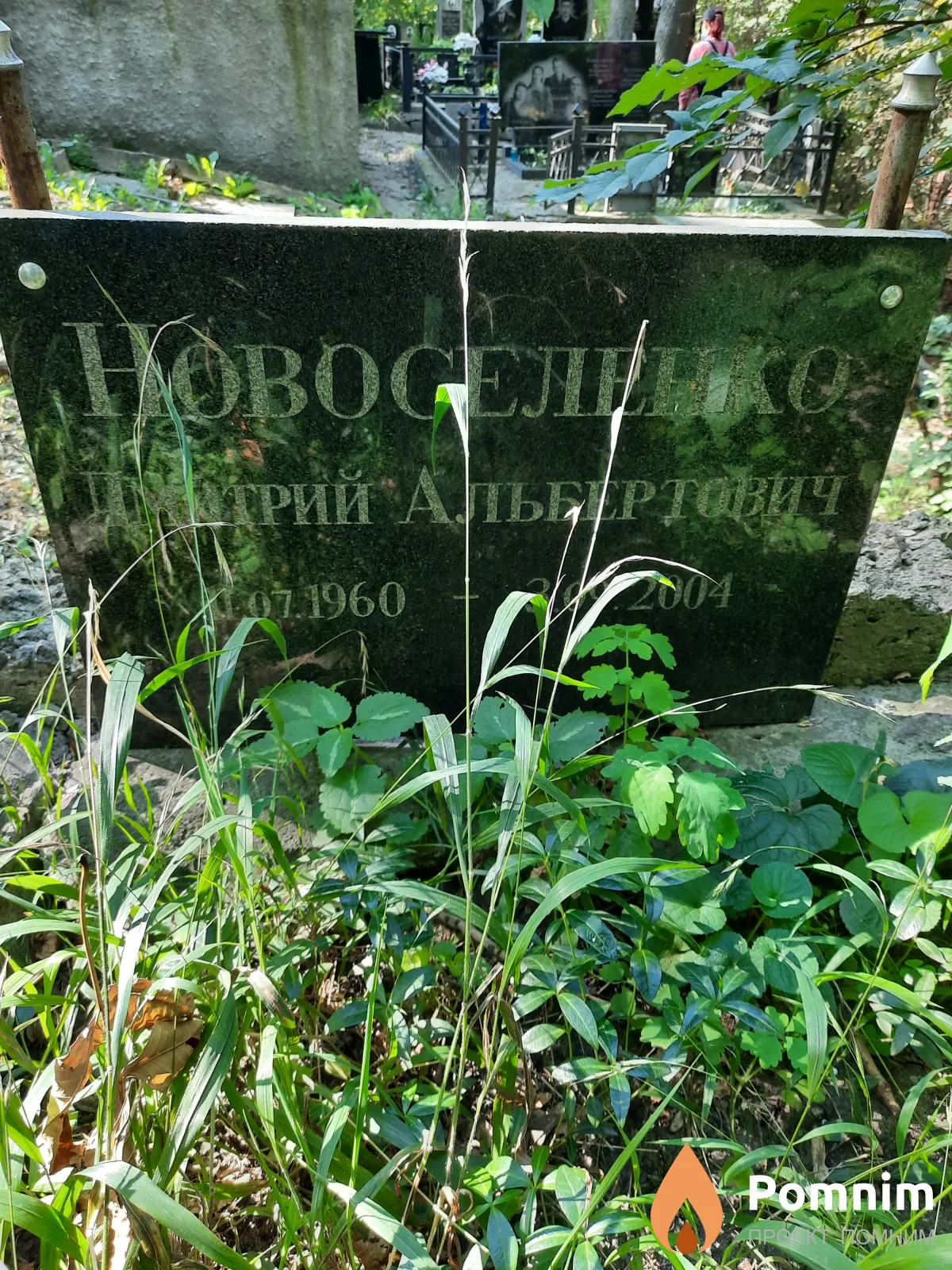 Новоселенко Дмитрий Альбертович