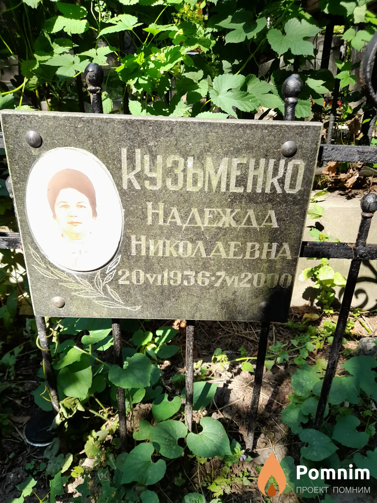 Кузьменко Надежда Николаевна