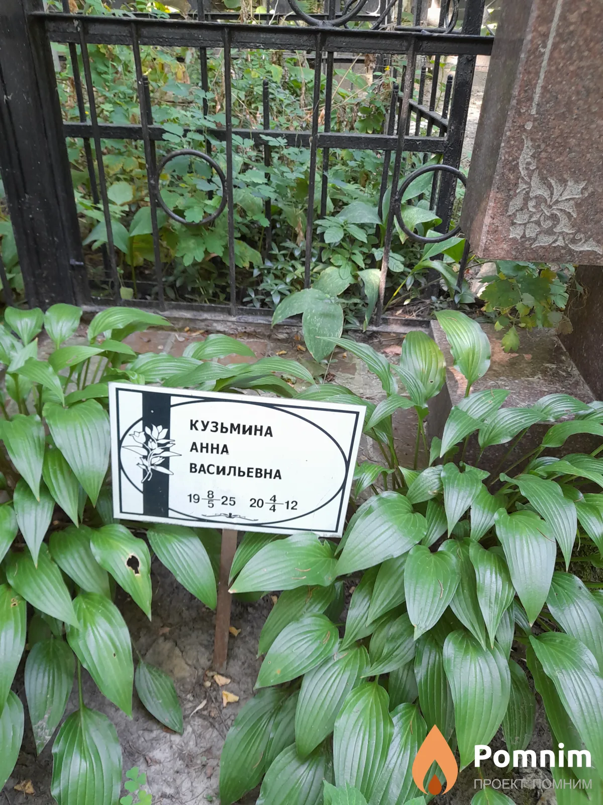 Кузьмина Анна Васильевна