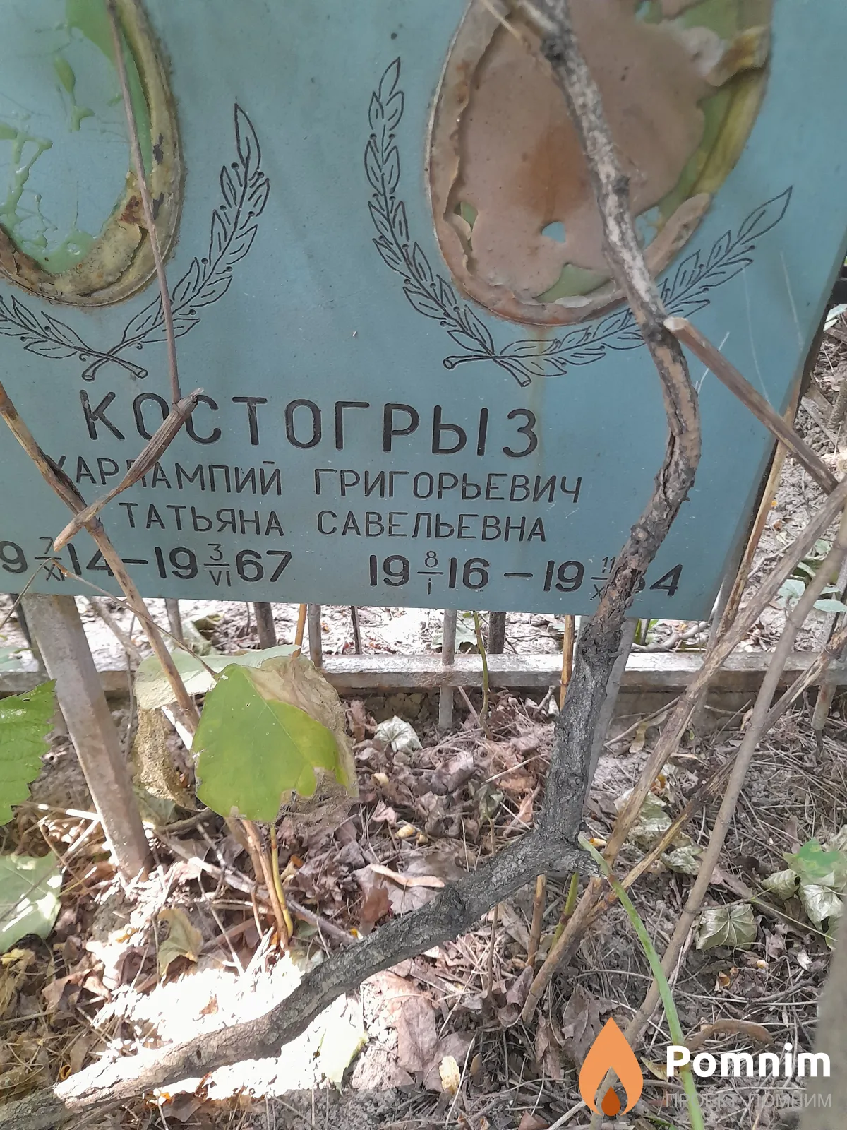 Костогрыз Татьяна Савельевна
