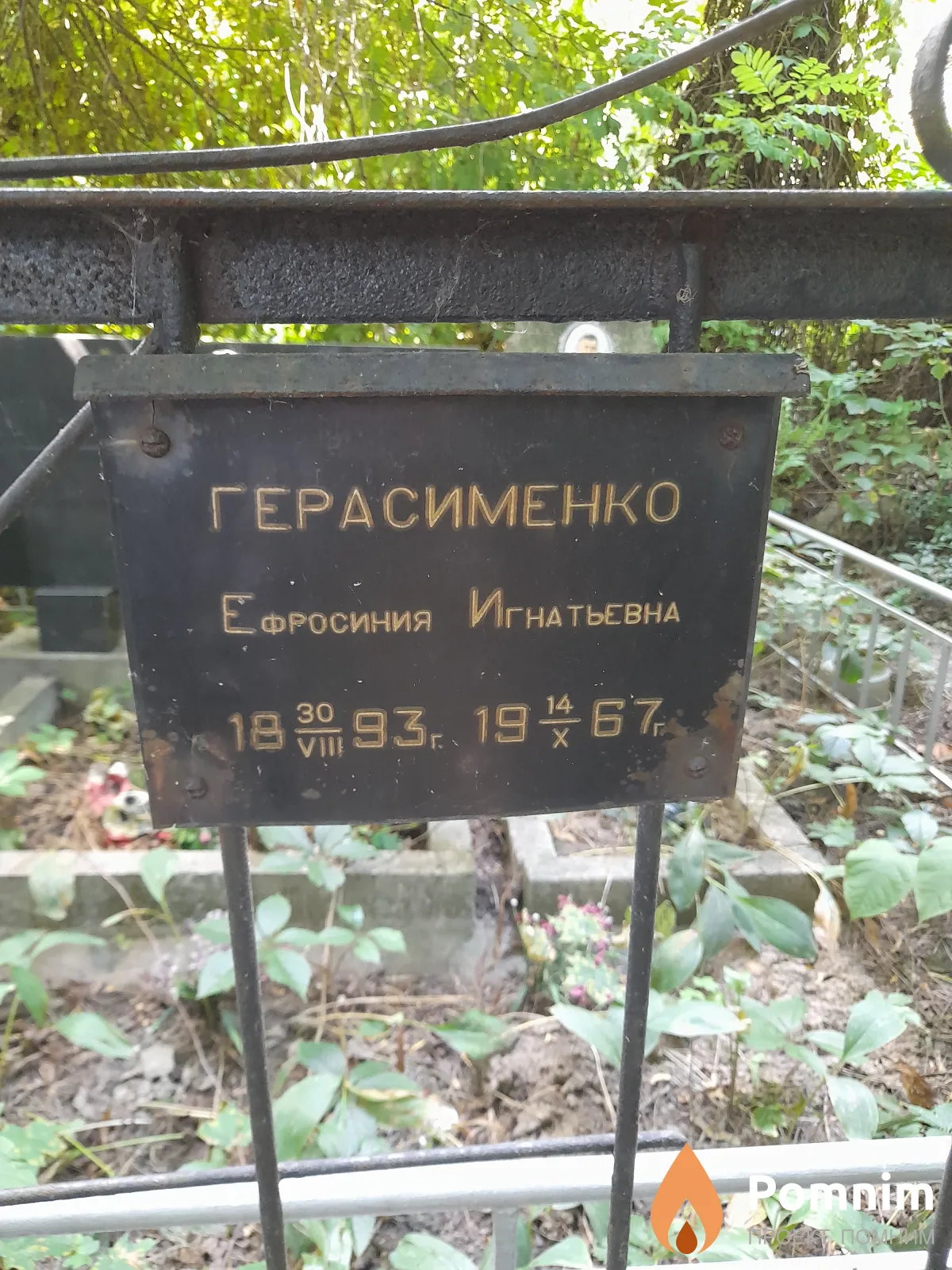 Герасименко Ефросиния Игнатьевна