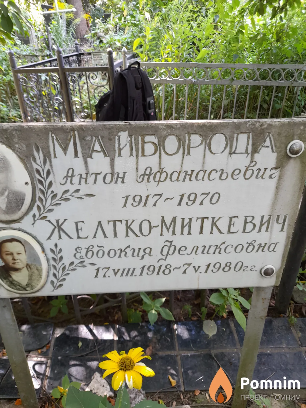 Желтко-Миткевич Евдокия Феликсовна
