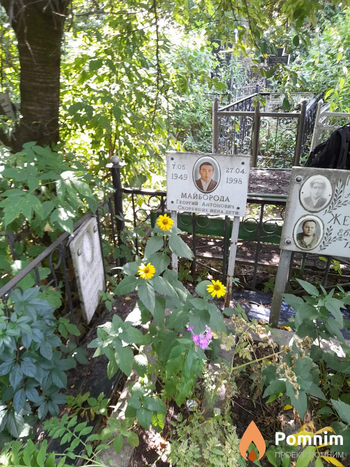 Майборода Георгий Антонович