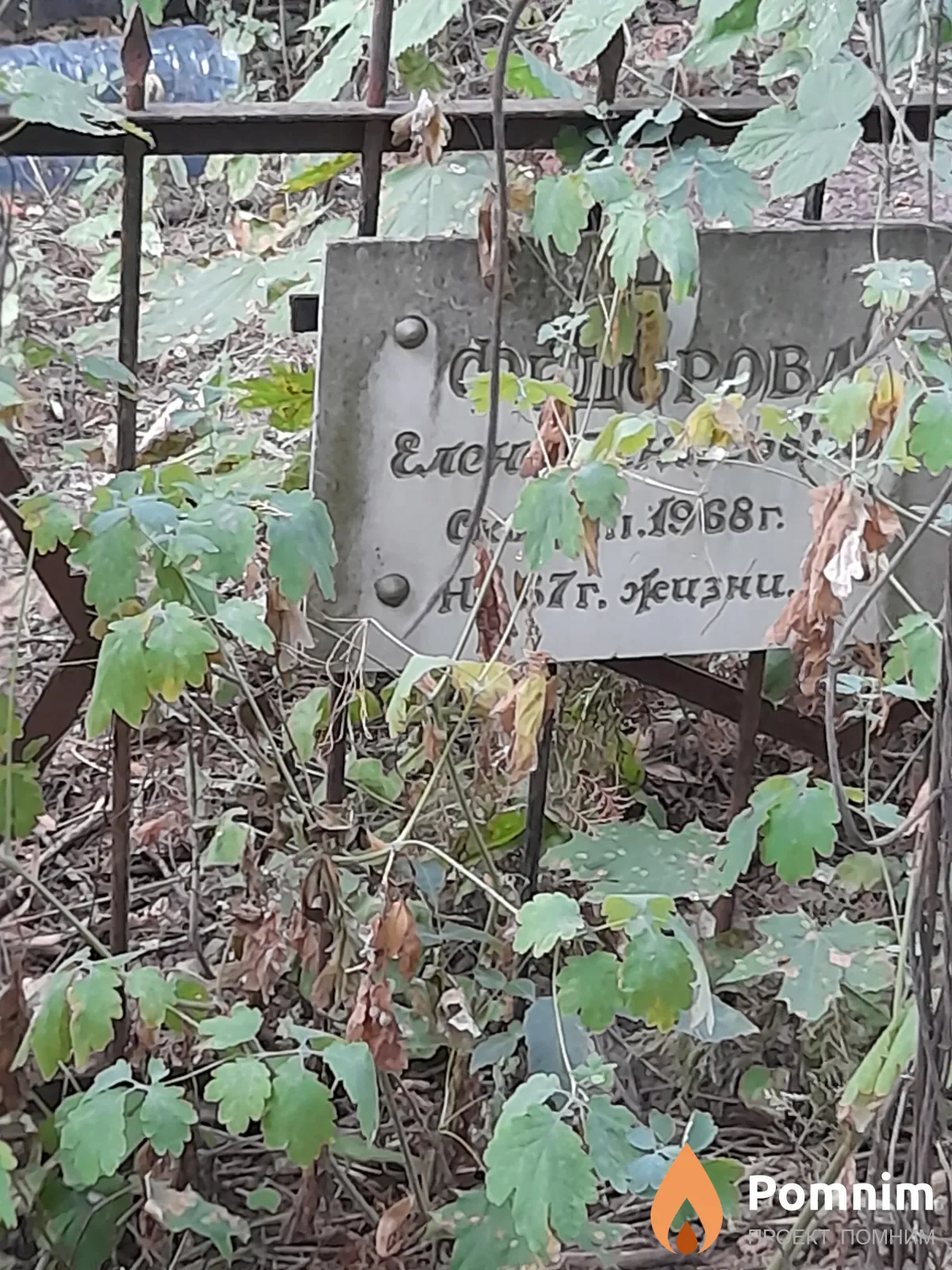 Федорова Елена Денисовна