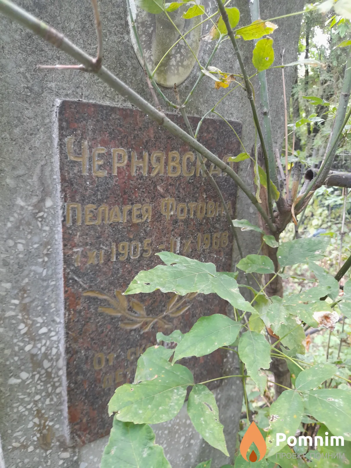 Чернявская Пелагея Фотовна