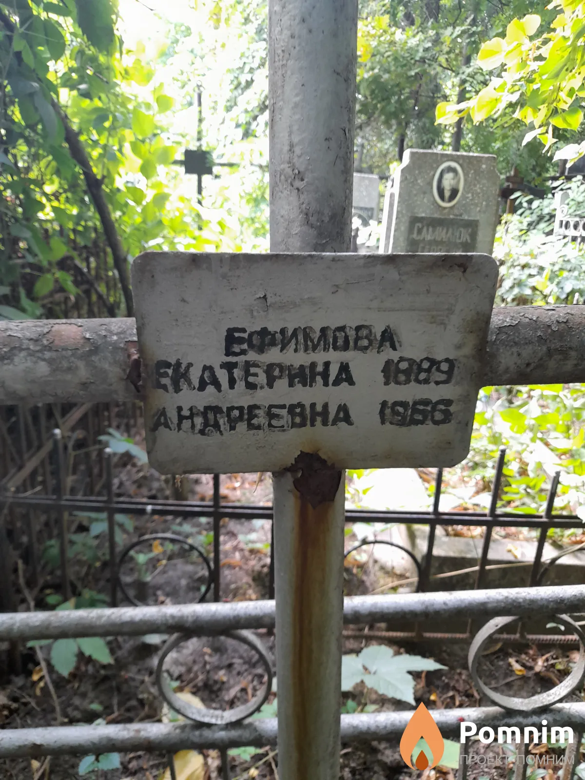 Ефимова Екатерина Андреевна