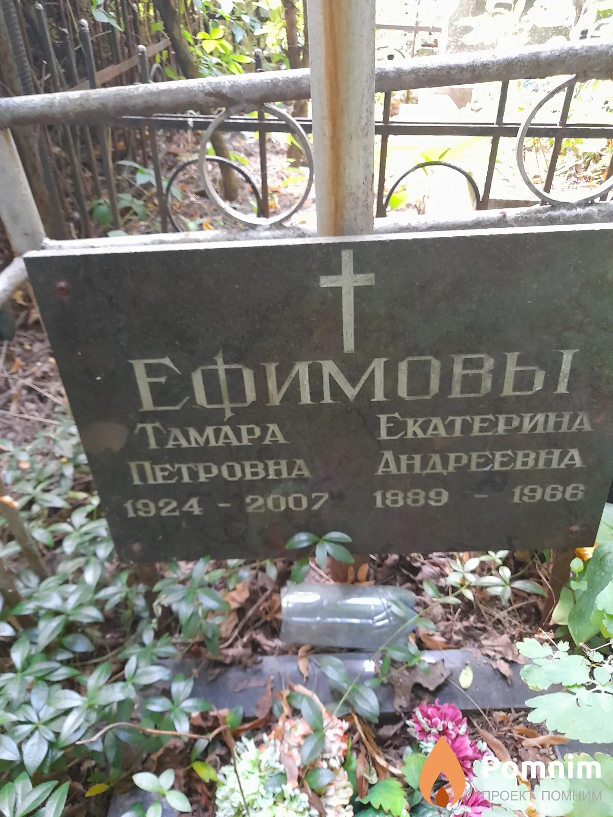 Ефимова Екатерина Андреевна