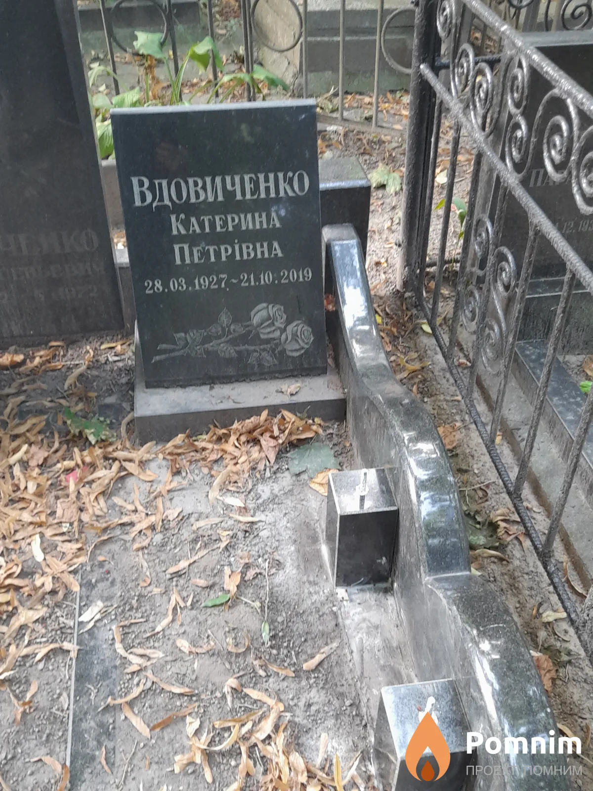 Вдовиченко Екатерина Петровна