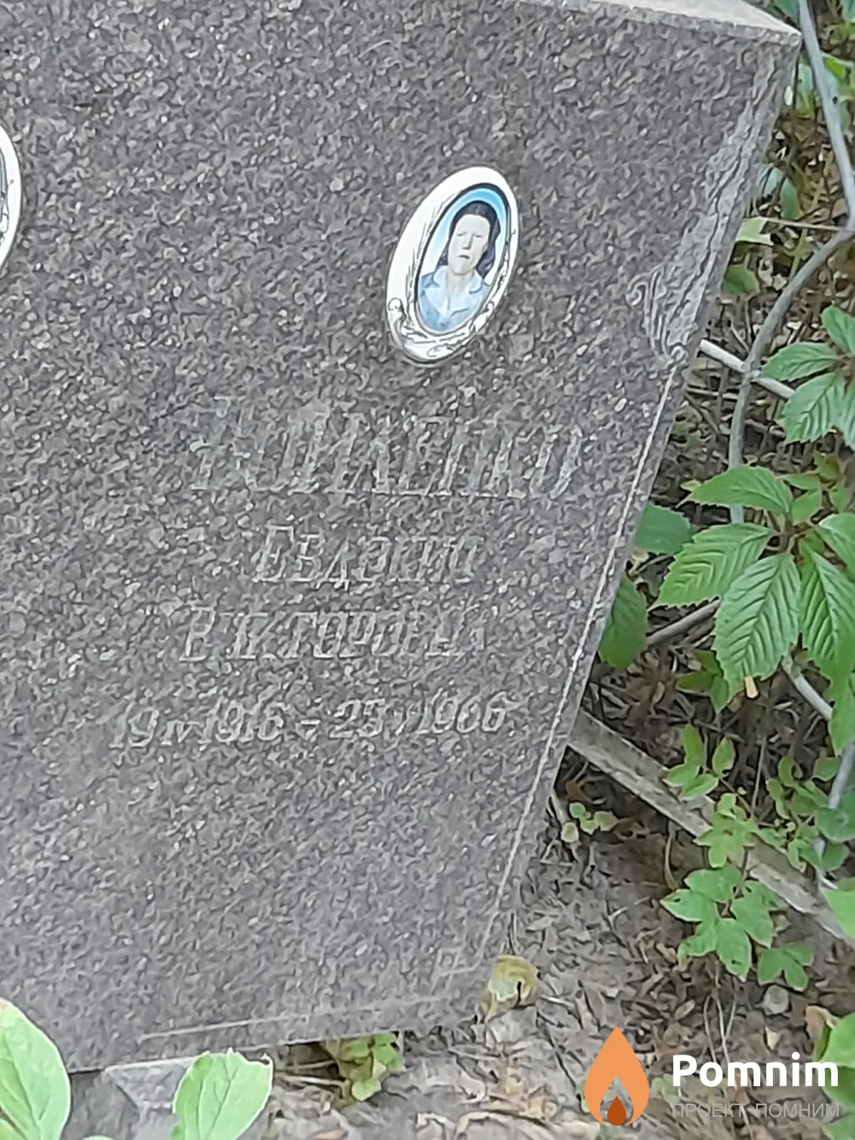Войленко Евдокия Викторовна