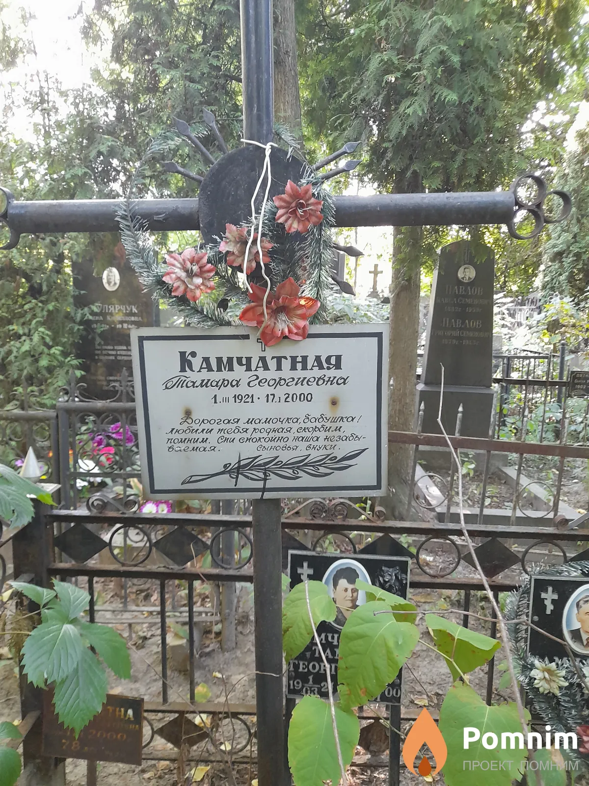 Камчатная Тамара Георгиевна