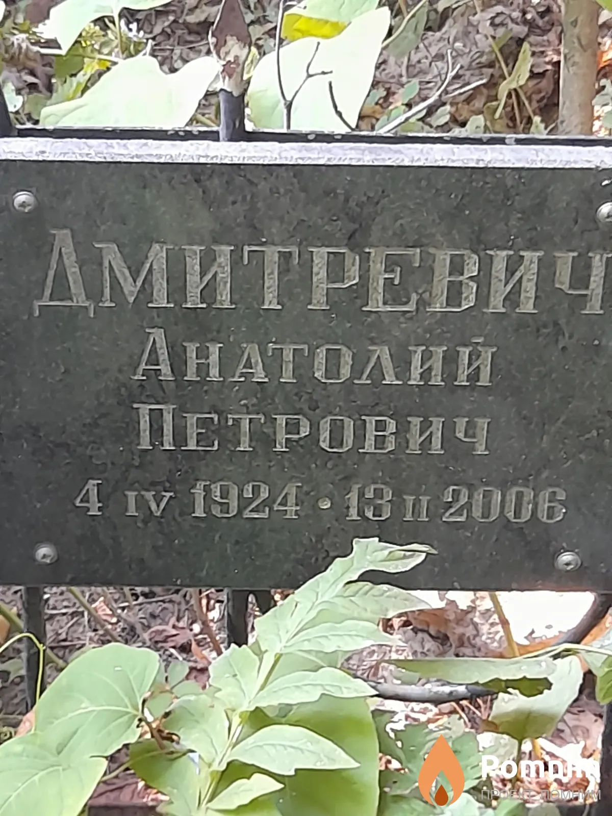 Дмитриевич Анатолий Петрович