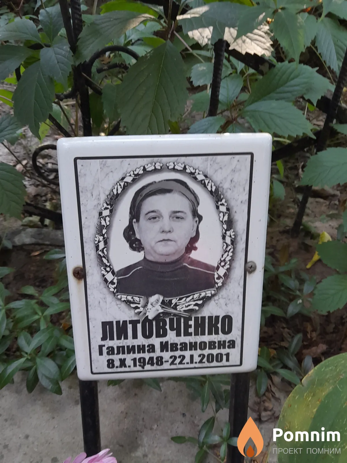 Литовченко Галина Ивановна