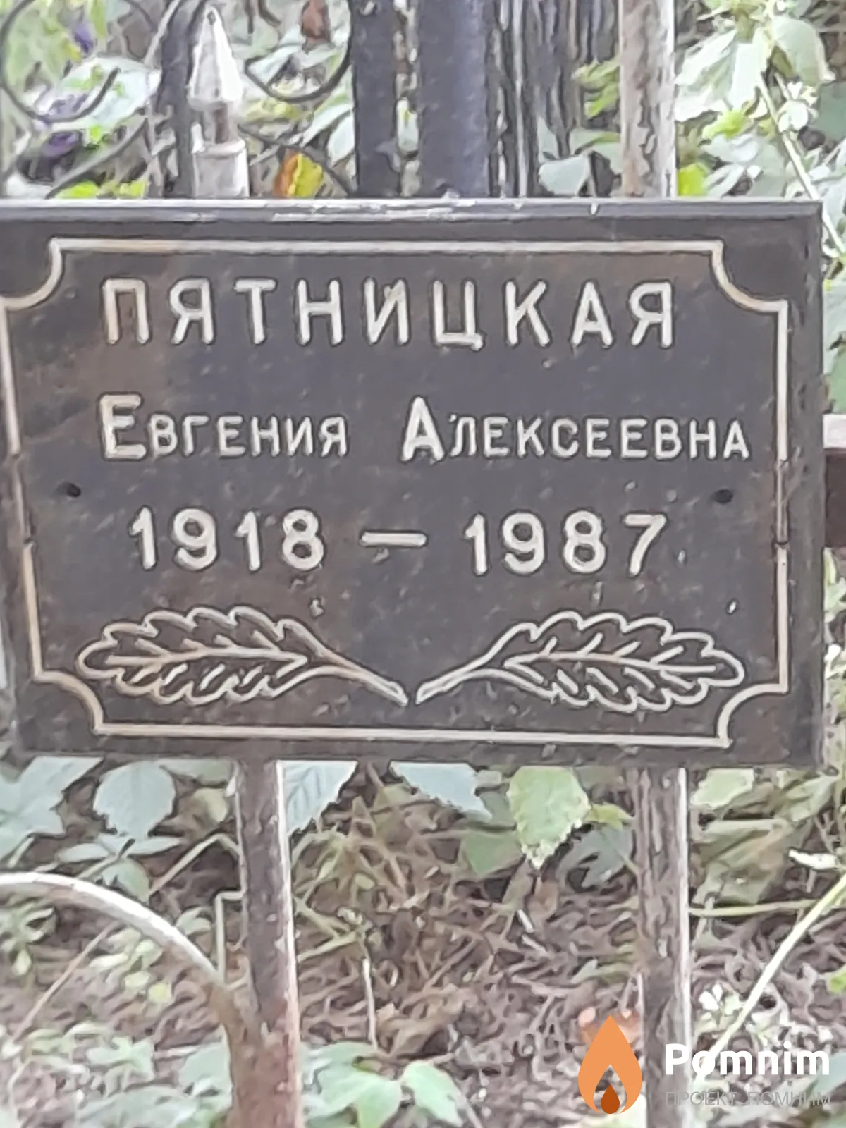 Пятницкая Евгения Алексеевна