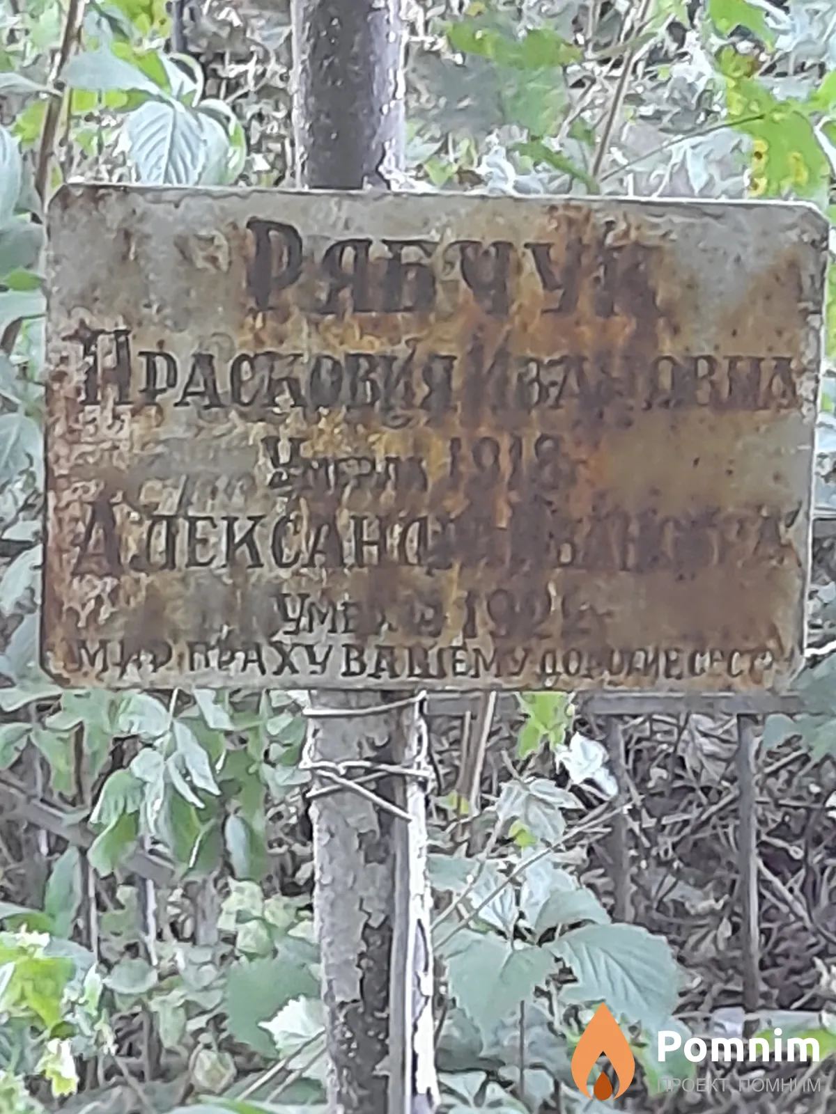 Рябчук Прасковья Ивановна