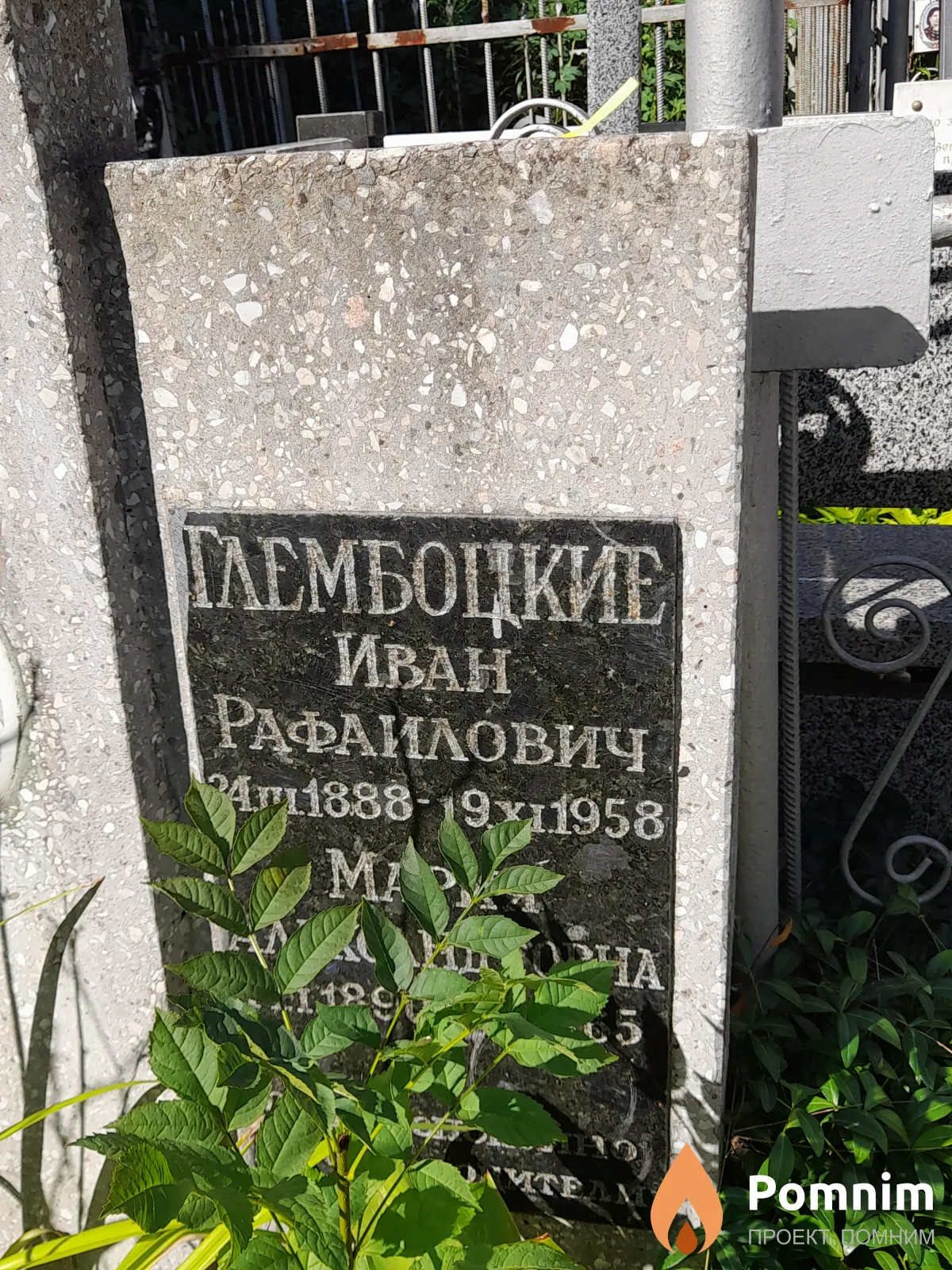 Гамбоцкая Мария Александровна