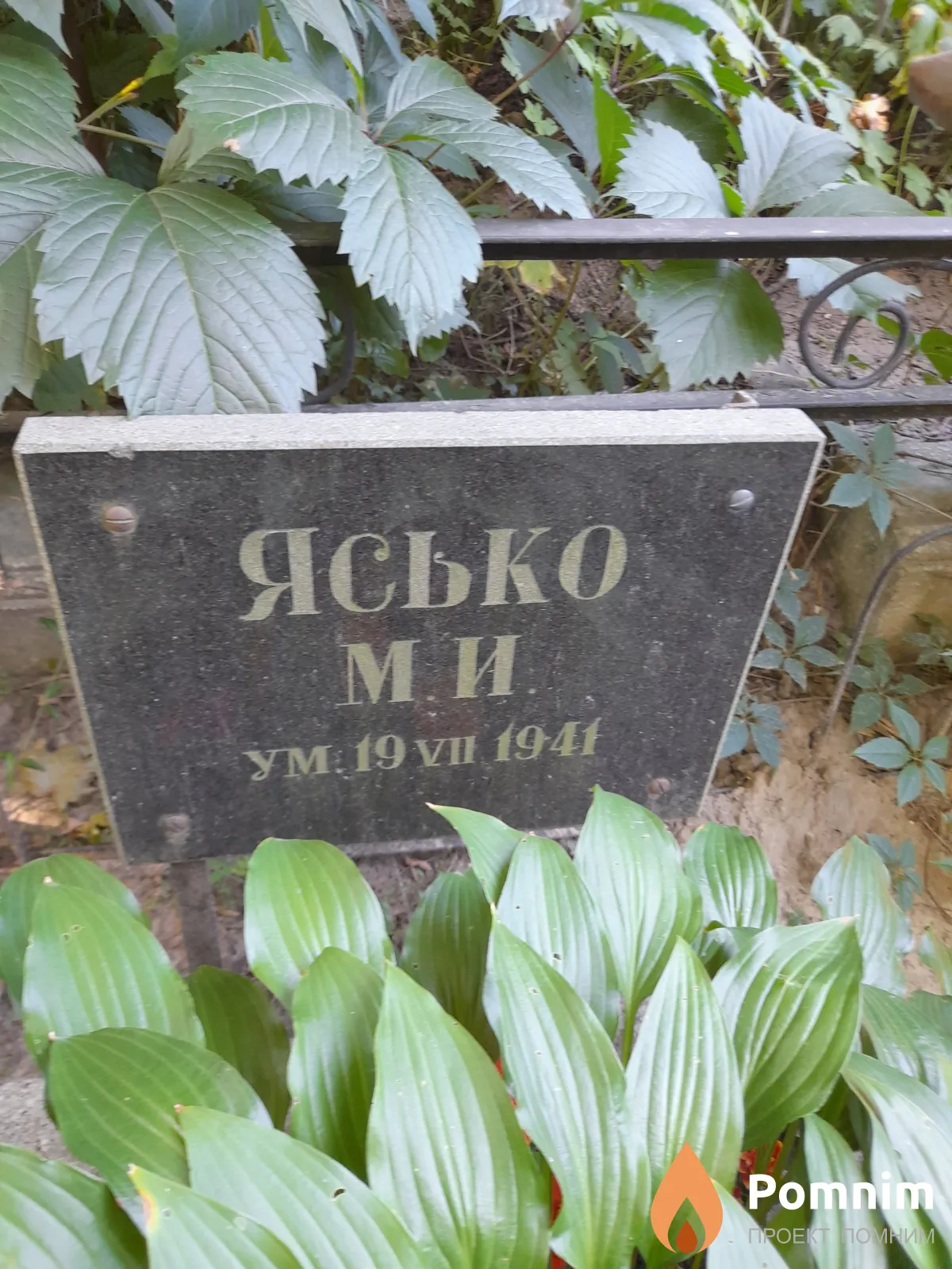 Ясько М. И.