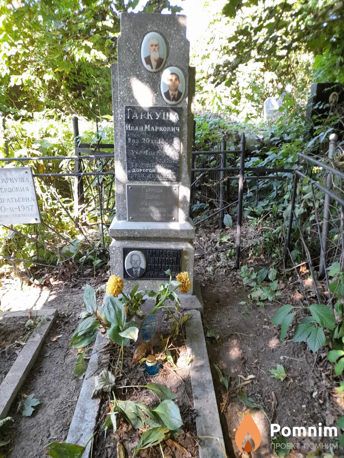 Моисеенко Николай Андреевич