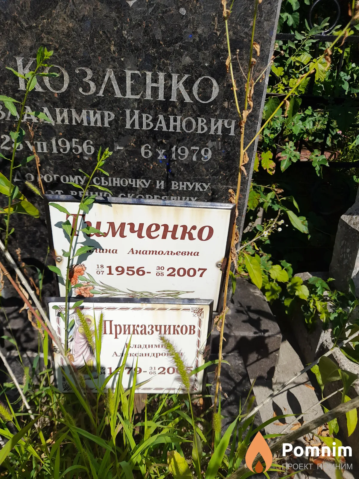 Тимченко Галина Анатольевна