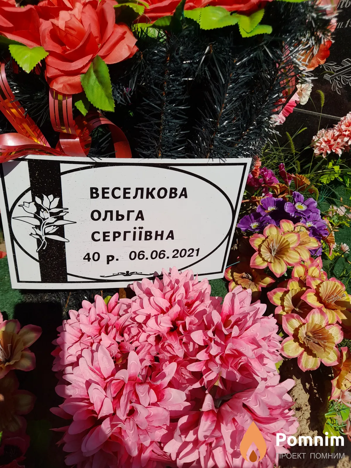 Веселкова Ольга Сергеевна