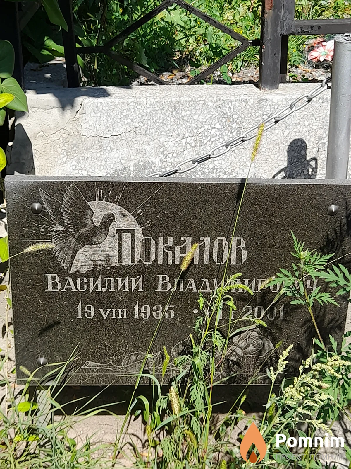 Покалов Василий Владимирович
