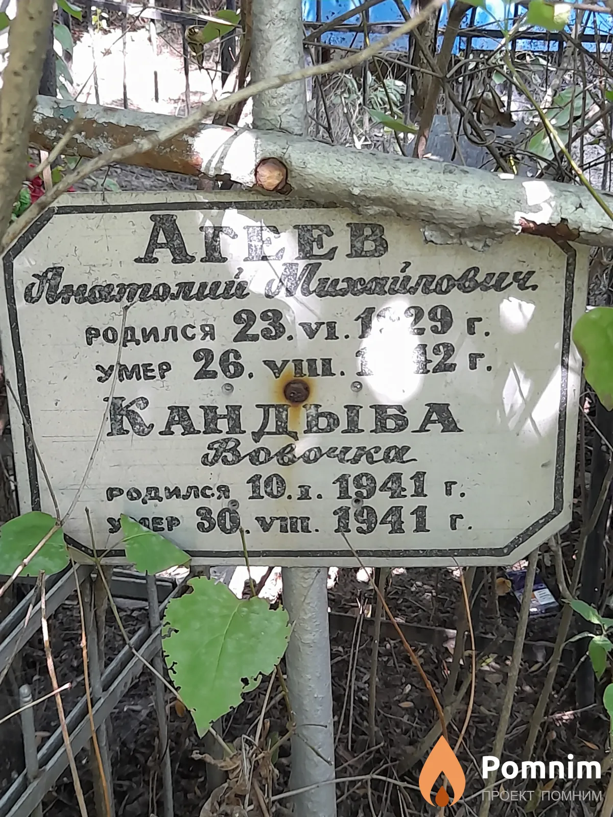 Агеев Анатолий Михайлович