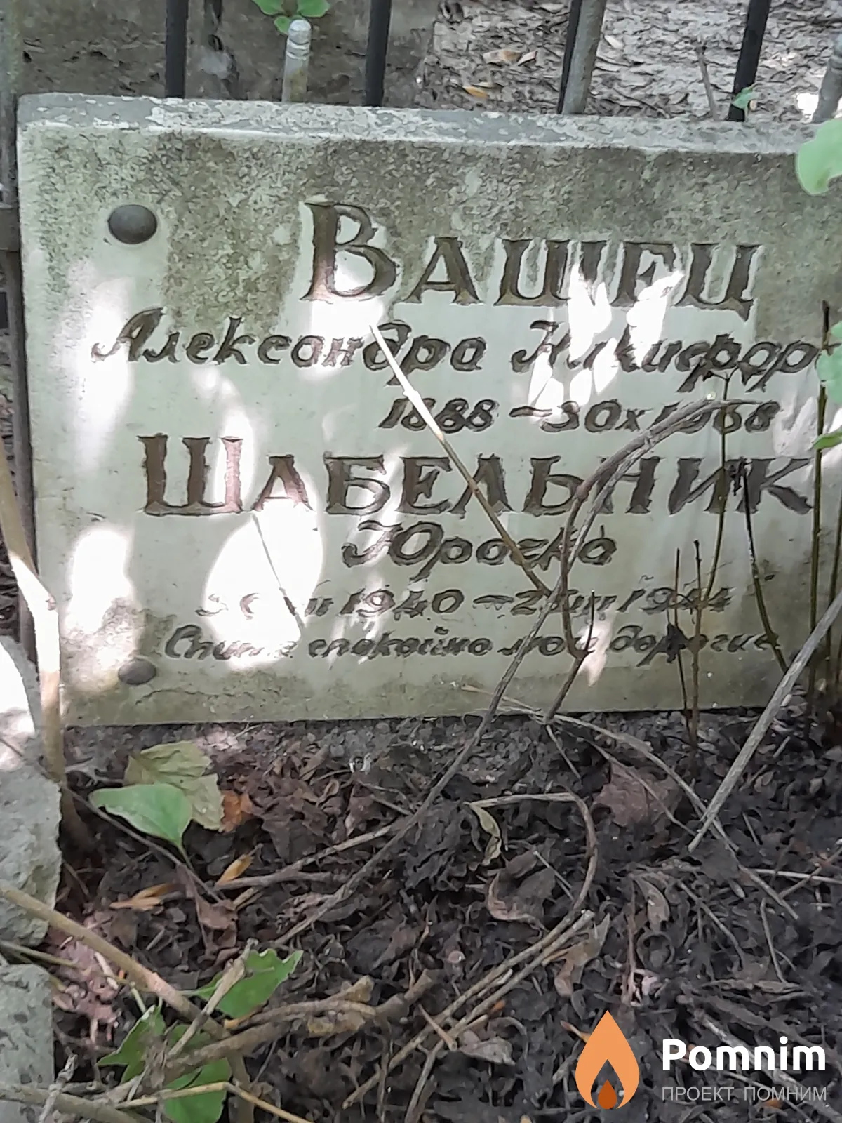 Шабельник Юрий