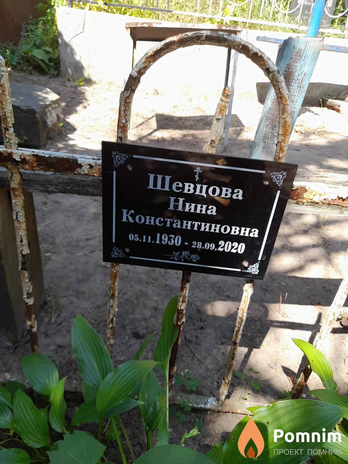 Шевцова Нина Константиновна