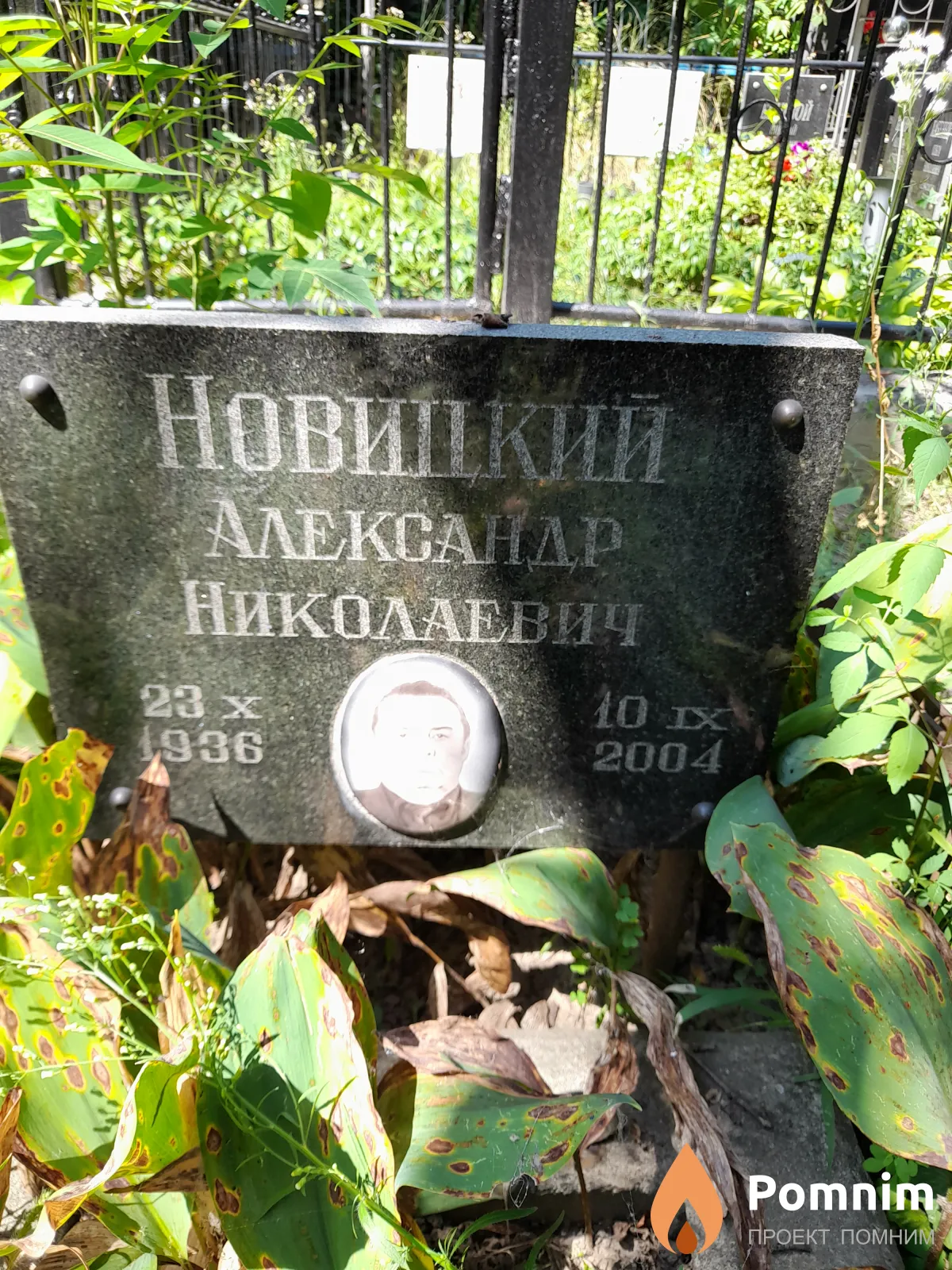 Новицкий Александр Николаевич
