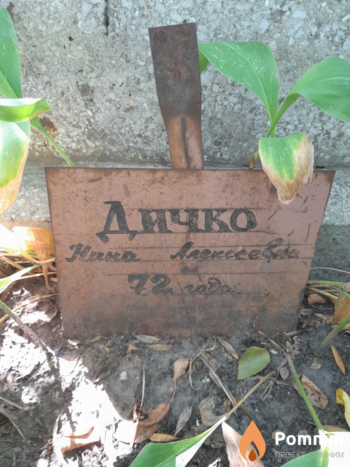 Дичко Нина Алексеевна