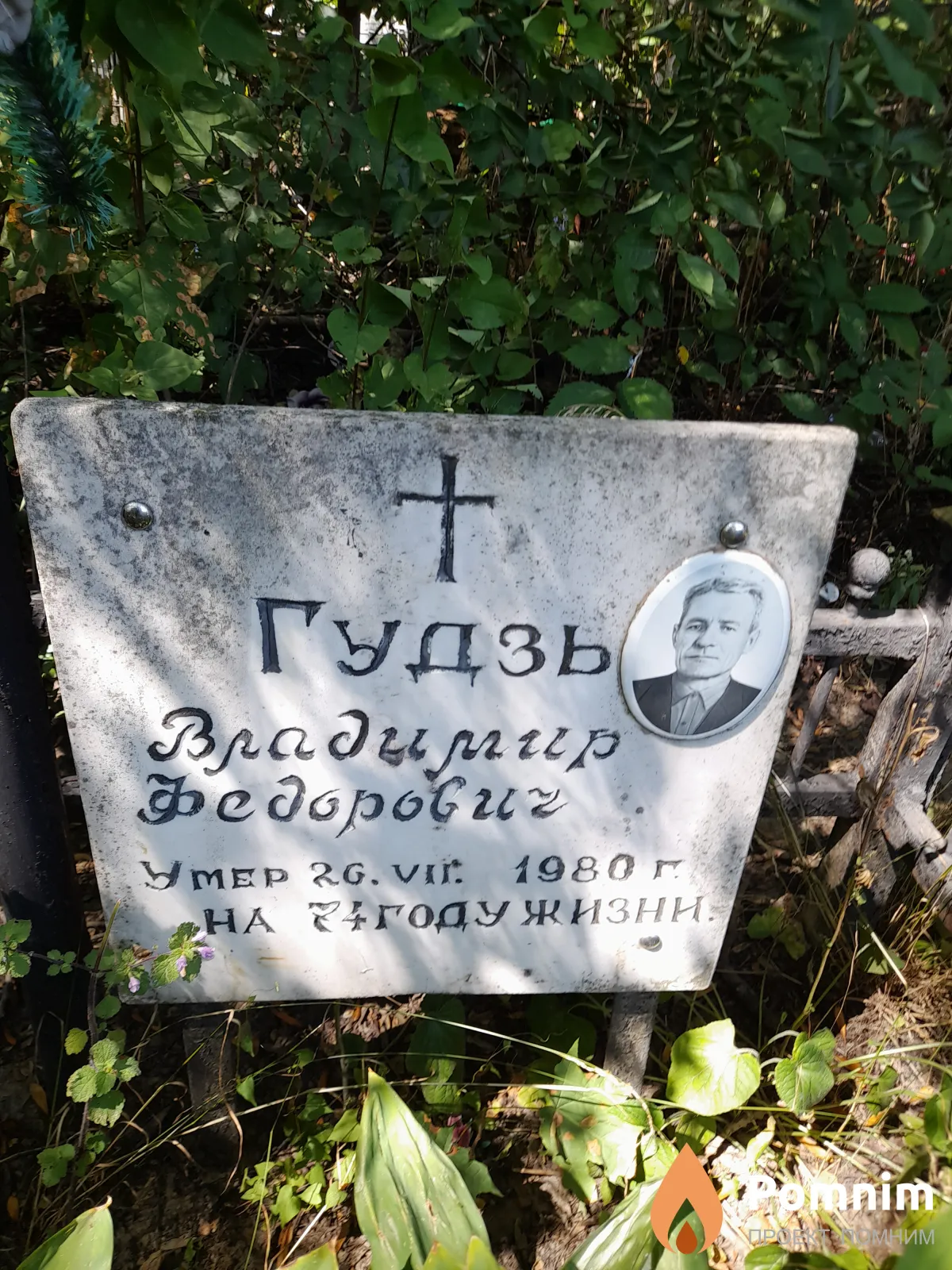 Гудзь Владимир Федорович