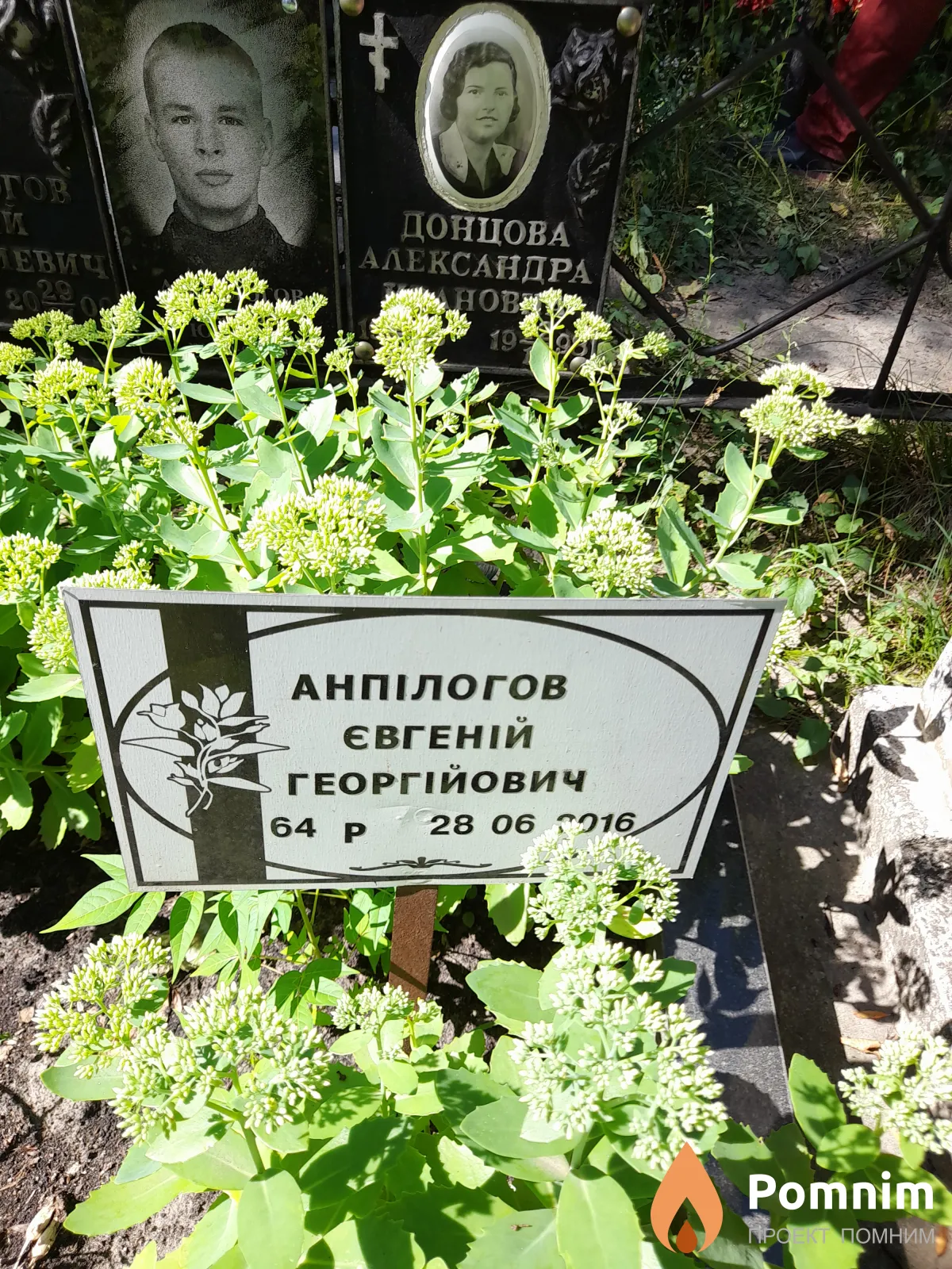 Aнпилогов Евгений Георгиевич