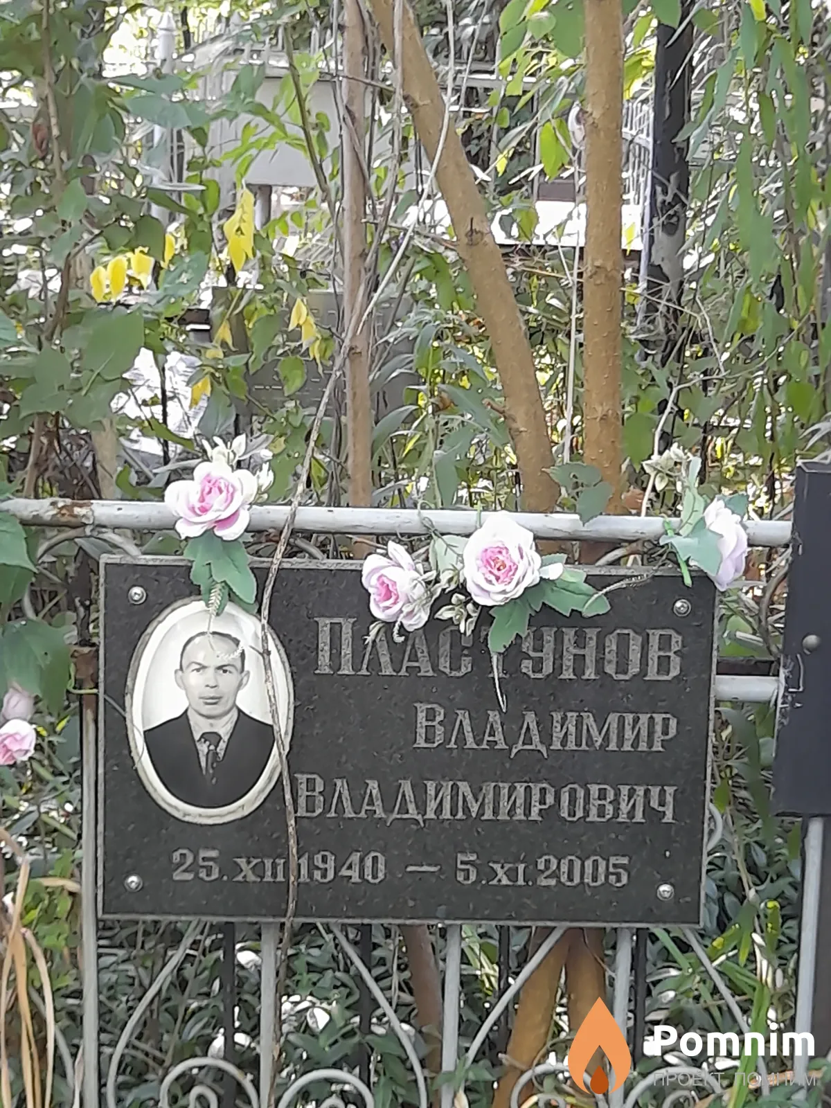 Пластунов Владимир Владимирович